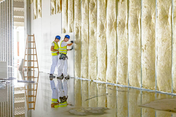 Best Wall Insulation Installation  in Independence, KY